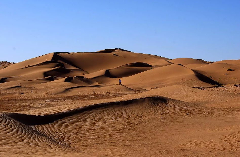 Karakum Desert, Central Turkmenistan, Turkmenistan